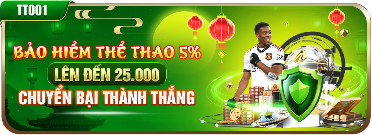 Chương trình VIP 33win